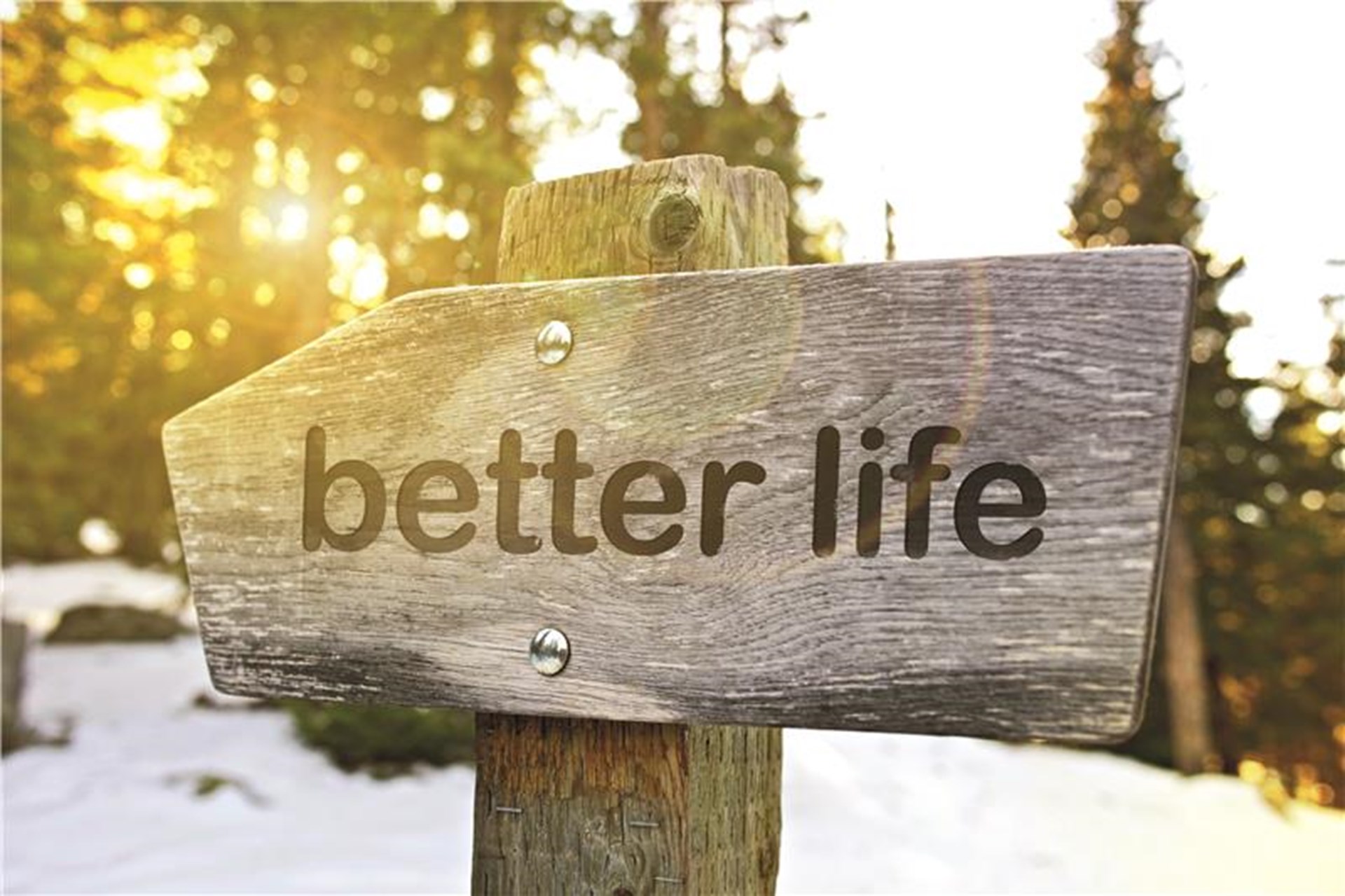 Ein Holzschild in einer Winterlandschaft mit dem Schriftzug "better life"