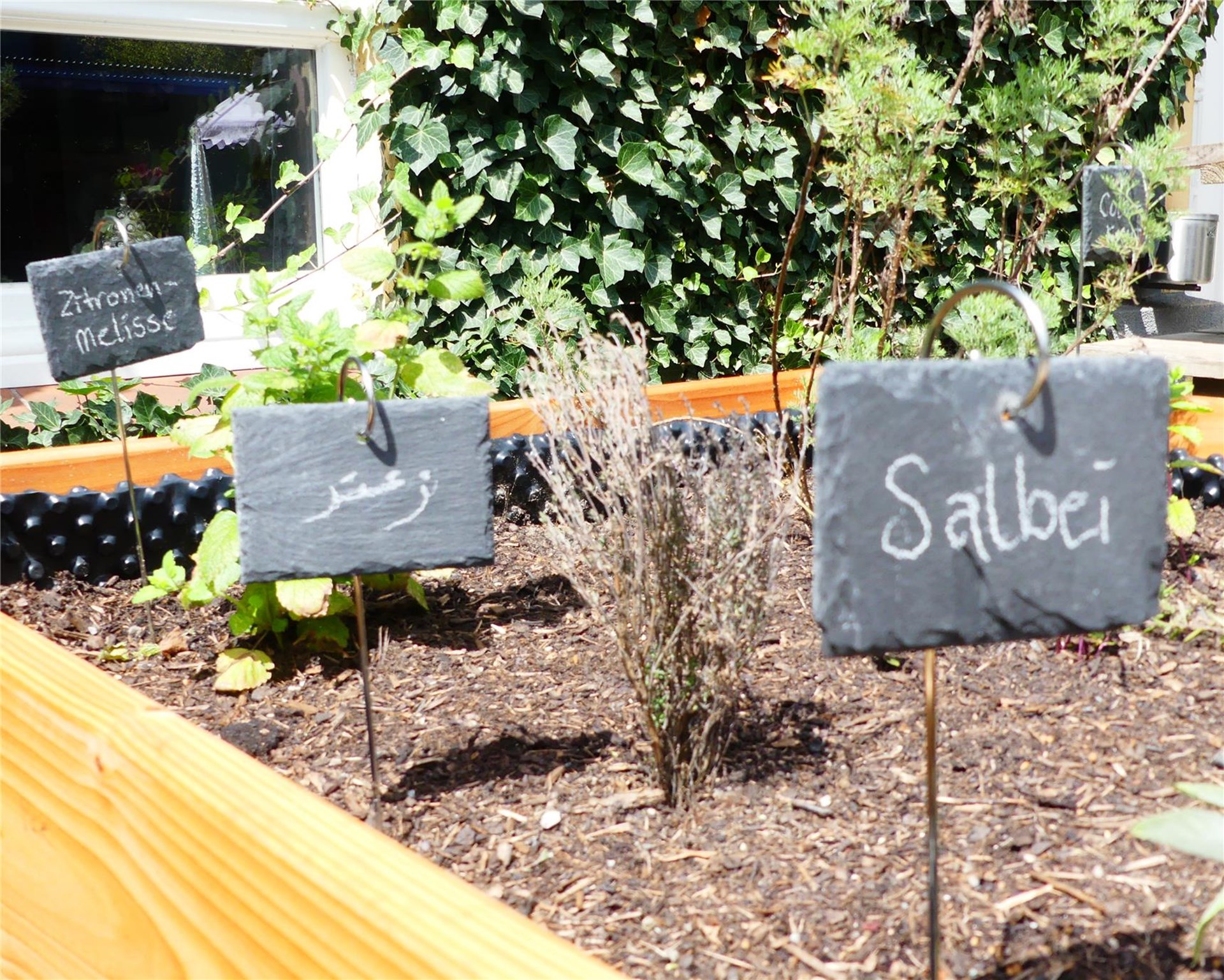Hochbeet mit verschiedenen Kräutern, beschriftet mit kleinen Schiefertafeln, darunter Zitronenmelisse, ein Schild mit arabischer Beschriftung und Salbei.