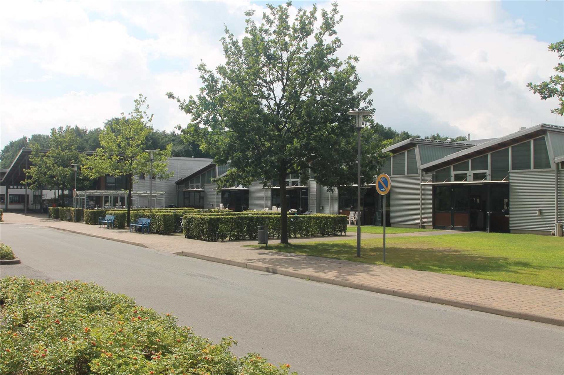 Gebäude an einer Straße mit Bäumen